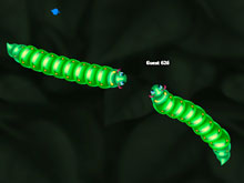 Snakes.io Multiplayer