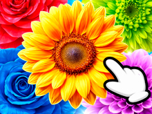 Цветы: объединяй и продавай букеты