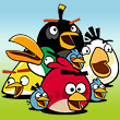 Angry birds